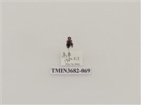 藏品(鞘翅目(2))的圖片